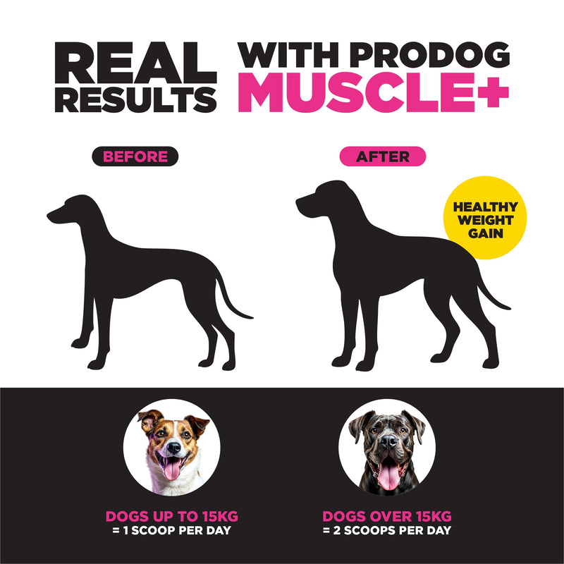 ProDog Muscle+ Dog Weight Gainer - Advanced Nutrition 76% Protein Per Scoop & Omega 3,6,9 - Supplement for Muscle Growth & Recovery, Underweight, Malnourished Dogs (30 Servings) 150g