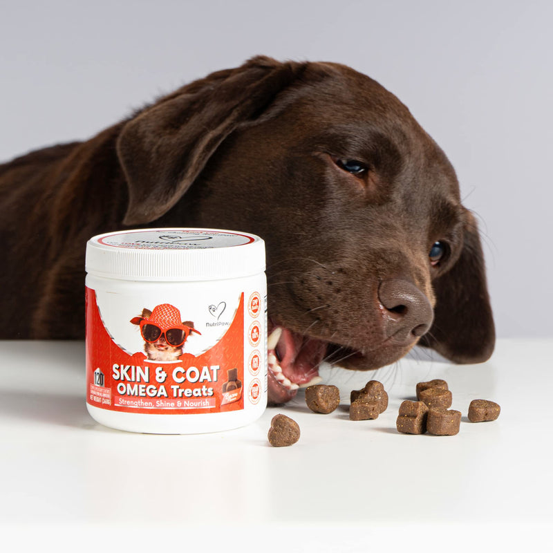 NutriPaw Skin & Coat Omega Treats - Nourish, Strengthen, Protect Skin & Coat, Reduce Excessive Shedding - Rich in EPA & DHA - Perfect for Small, Medium and Large Dogs