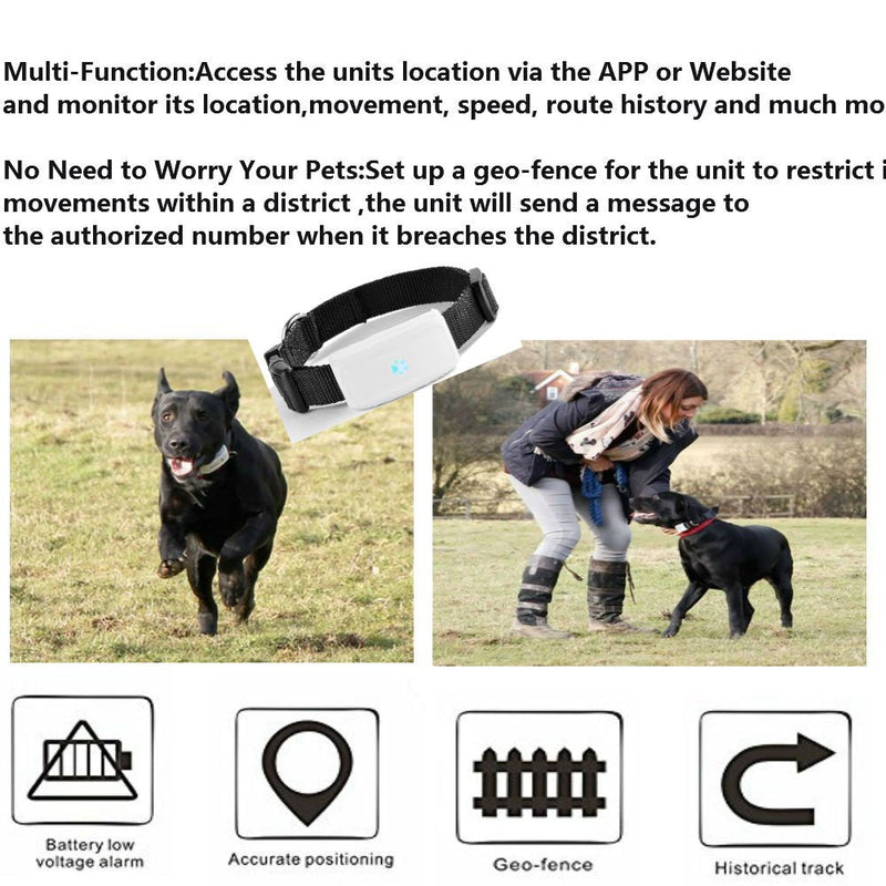 Winnes GPS Tracker Cat, Mini GPS Tracker Dog Without Subscription Real Time Tracking Anti Loss Alarm Historical Route GPS Collars Waterproof With Free APP - BeesActive Australia