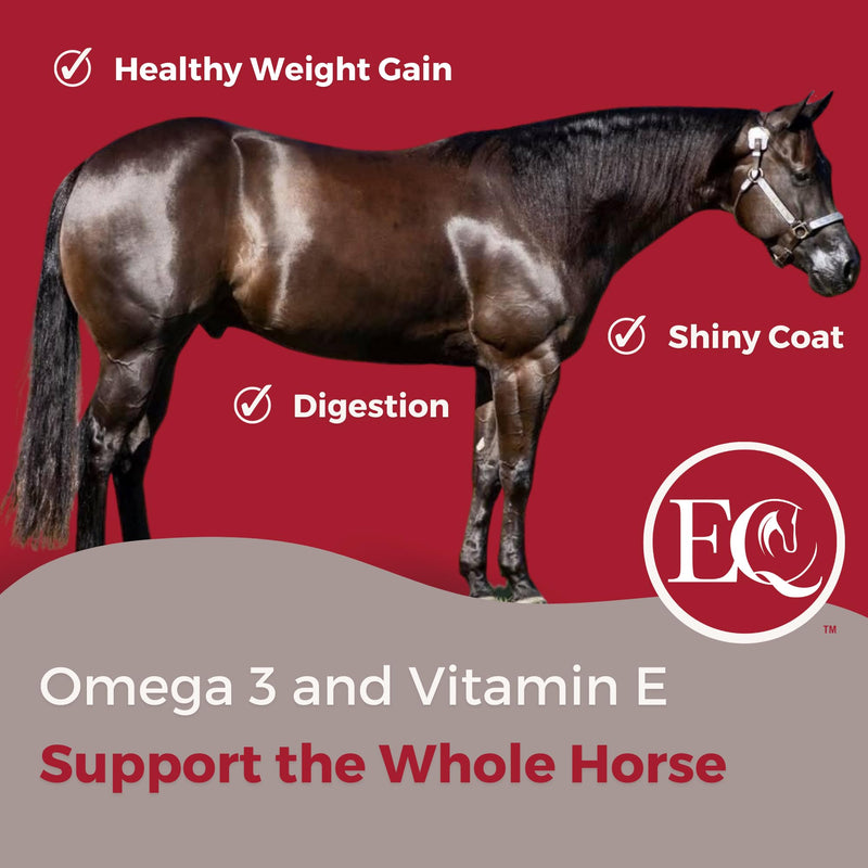 Equine Supplement - Horse Supplement for Joint Support, Muscle Development, Recovery and Gut Health, 32 Fl Oz - BeesActive Australia