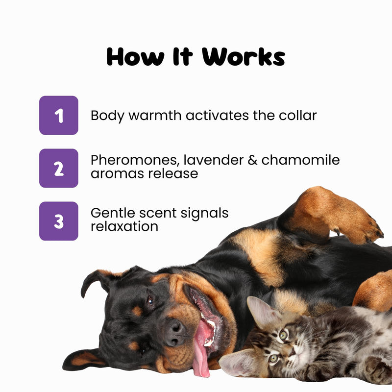Calming Collar for Dogs Support Calm Behaviour During Fireworks, Thunderstorms, Travel & Separation - Lavender & Chamomile Aromas - Adjustable, Water-Resistant, Lasts Up to 30 Days - Large