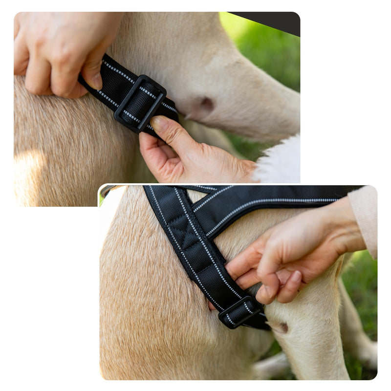 Eeyfarog No Pull Dog Harness for Small Medium Dogs, Reflective Escape-Proof Adjustable without Pull, Dog Harness (Green, L) Green - BeesActive Australia