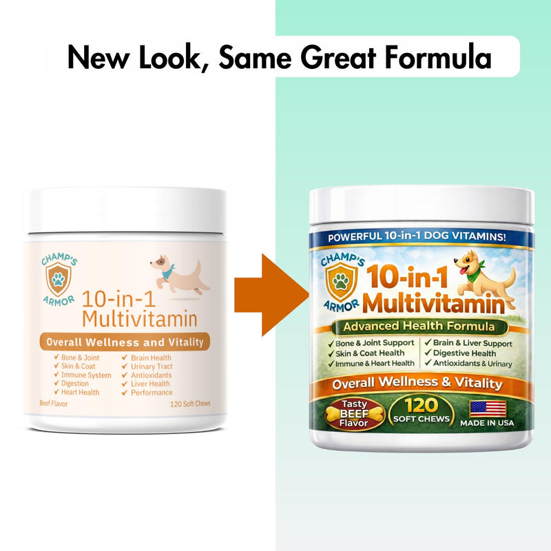 Dog Multivitamin 10-in-1 with Glucosamine - Hip Joint Support, Skin & Coat, Digestive Health, Immune Boost - Salmon Oil, Probiotics, MSM - All Natural Daily Chews for Dogs All Breeds - 120 Count