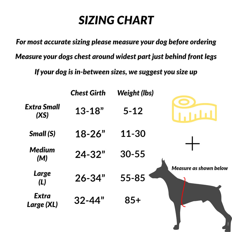 ShawnCo Essential Dog Harness, No-Pull Pet Vest with 3 Leash Clips, No Choke, Reflective, Adjustable and Padded, for Easy Walking and Training for Small, Medium and Large Dogs (Oceanic Blue, S) Oceanic Blue - BeesActive Australia