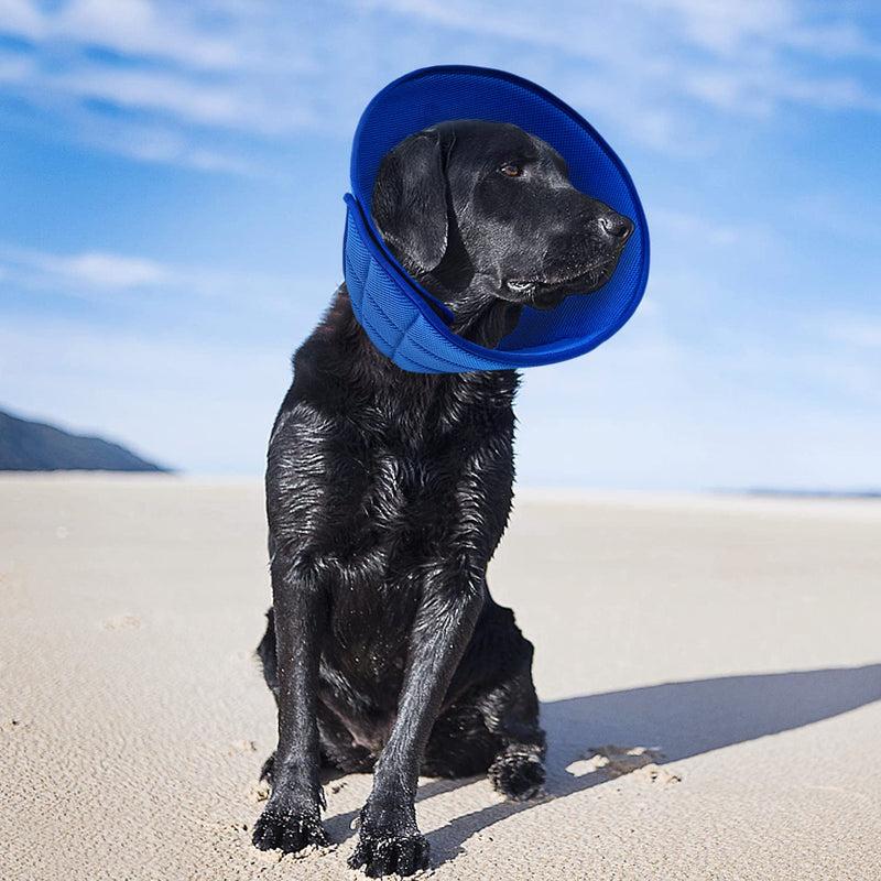 newsbirds Neck Collar for Dogs, Lightweight Comfortable Soft Recovery Elizabethan Collar for Pets, Adjustable Protective Collar for Dogs and Cats, Blue 5 Size 5 for Medium Dogs Blue - BeesActive Australia