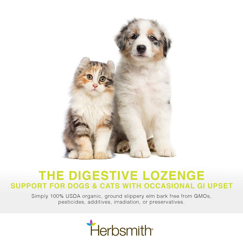 Herbsmith Organic Slippery Elm - Digestive Aid for Dogs and Cats - Constipation and Diarrhea Relief for Dogs and Cats - Megaesophagus Dog Aid- 75g 75g Powder - BeesActive Australia