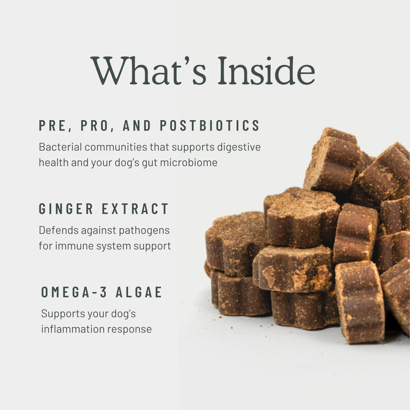 Get Joy Gut+ Probiotic Chews for Dogs, 90 Soft Chews, Chicken Flavor, Supports Digestive Health & Immunity, with Pre, Pro & Postbiotics, PhD Animal Nutritionist Formulated, Produced in USA Gut+ - PawsPlanet Australia