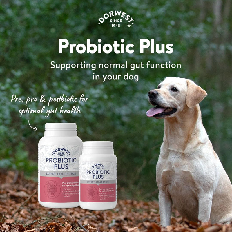 Dorwest Herbs Probiotic Plus for Dogs 100 Capsules, Pre, Pro and Postbiotic with Daily Microbiome Support for Optimal Gut Health