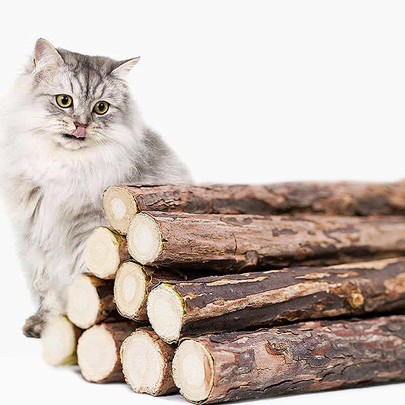 Natural Silvervine Sticks for Cats - 100% Wild Catnip Chew Sticks, Dental Care & Tartar Removal, Digestive Health, Kitten & Adult Cat Enrichment, 15pcs, High Potency Cat Attractant