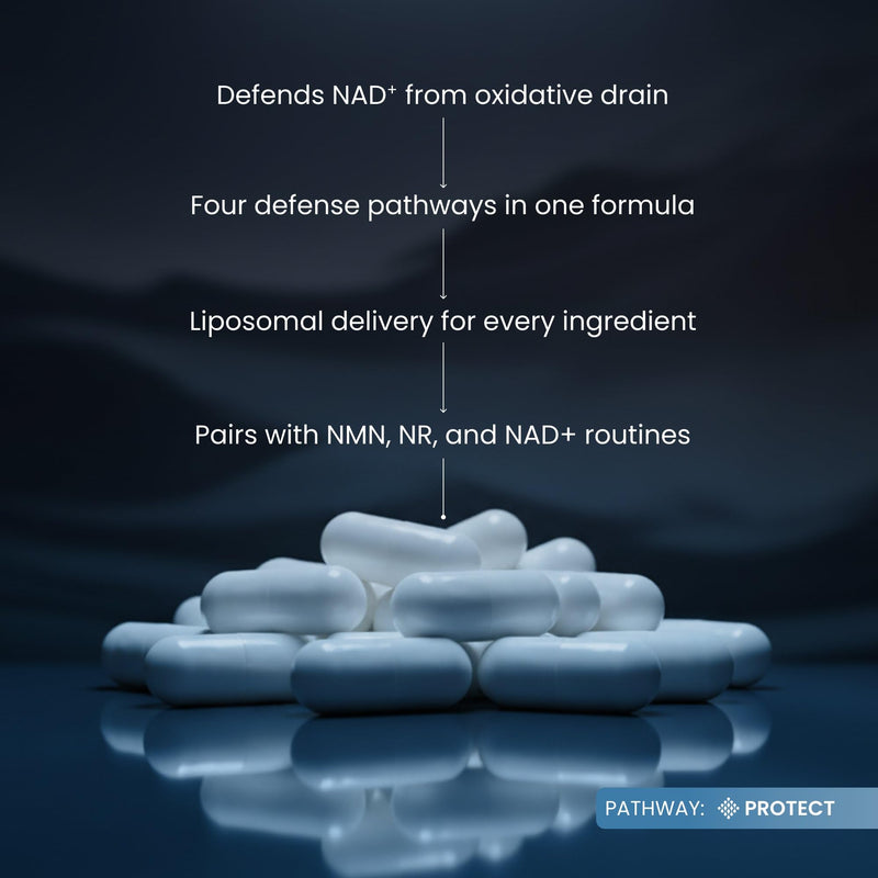 Renue By Science Shield | Liposomal Vitamin C CaAKG P.E.A Hyaluronic Acid Supplement | 120 Capsules with Vitamin C (500mg) CA AKG (150mg) Palmitoylethanolamide (75mg) HLA (75mg) | Made in the USA