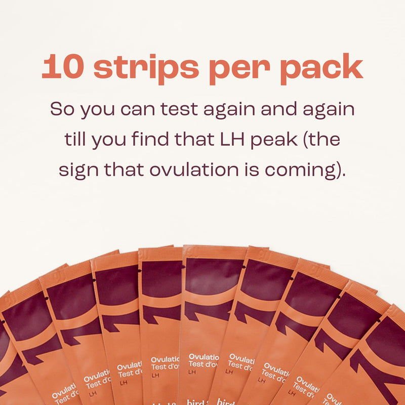 bird&be Ovulation Test Strips (LH) | 10 High-Accuracy Predictor Kits | Track Fertile Window & LH Surge | Eco-Friendly Low-Waste Design | Easy Dip & Read Results | TTC Fertility Monitor White 10 Lh Strips - BeesActive Australia