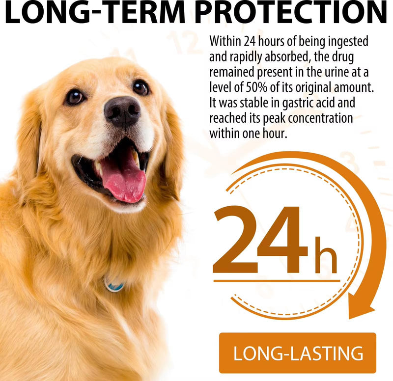 Quercetin for Dogs - Allergy Relief Support - Liquid Drops Herbal Supplement - Immune Boost, Antioxidant - 60 ml