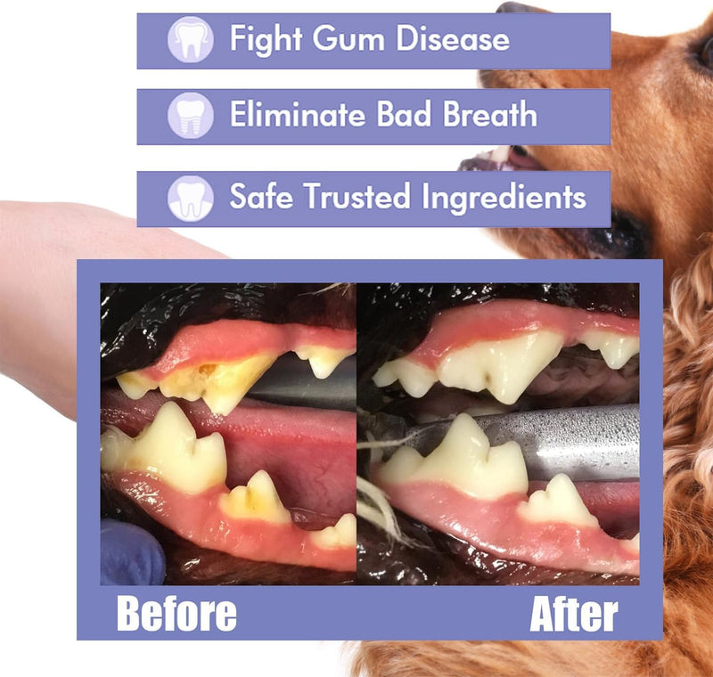 JoanofArc Pet Oral Spray, Teeth Cleaning Spray for Dogs and Cats, Pet Breath Freshener and Teeth Cleaning Sprays, Reduces Plaque Tartar Buildup, No Brushing, 50ml