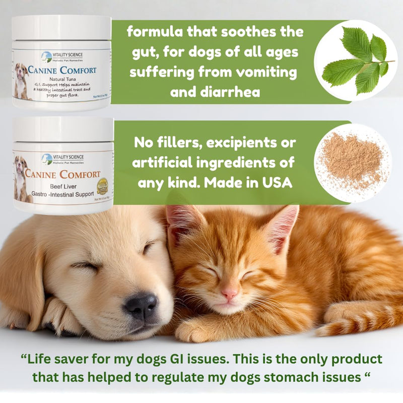 Vitality Science Canine Comfort for Dogs | Maintains a Healthy Intestinal Tract and Proper Gut Flora| Restores Gastric Distress | Helps with Vomiting and Diarrhea | 100% Additive Free, Beef 98g Seafood Small