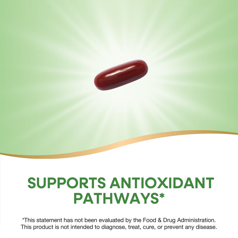 Nature's Way Resveratrol-Forte Softgels, Protects from Free Radicals*, 60ct | 175 mg Trans-Resveratrol from Japanese Knotweed per Serving, Supports Antioxidant Pathways to Help Neutralize Free Radicals*