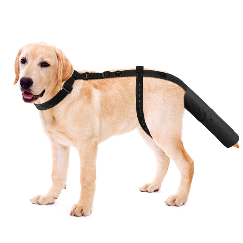 EBaokuup Dog Tail Guard,Adjustable Dog Ends Protector,Used to Assist in Recovery from Injury for Medium and Large Dogs,Happy Tail Syndrome,Pet and Animals - BeesActive Australia