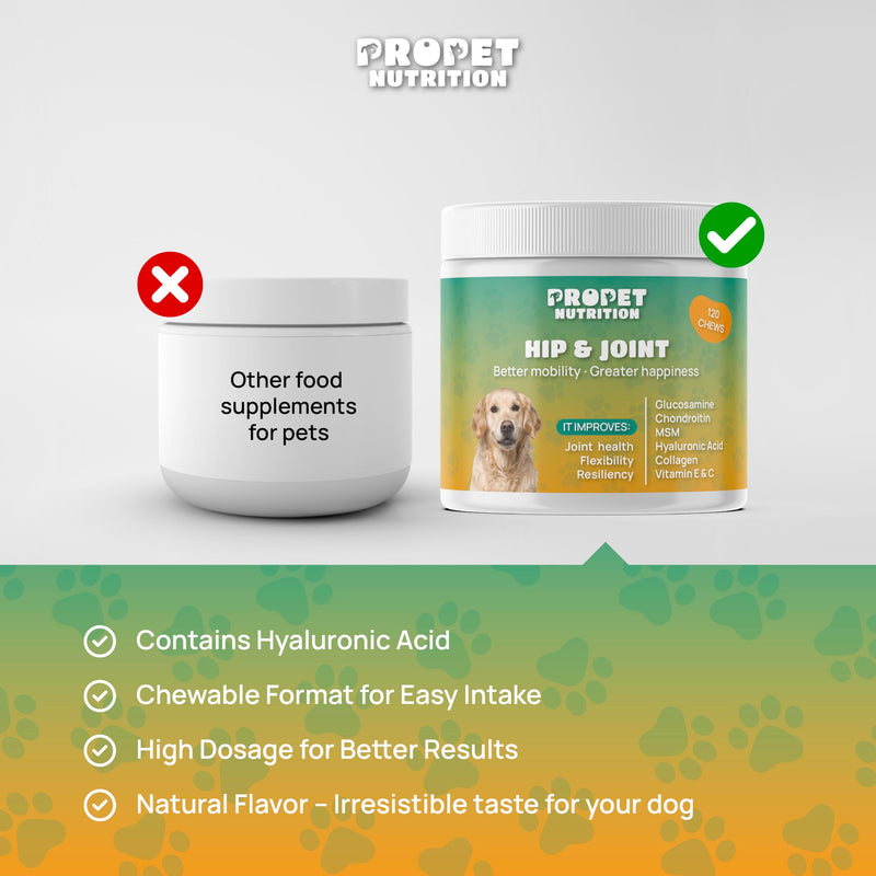 Joint Supplement for Dogs with Glucosamine, Chondroitin, Vitamins, Hyaluronic Acid and MSM. Anti Inflammatory. Supports Joint Structure & Maintains Mobility Adult/Senior/Junior Dogs