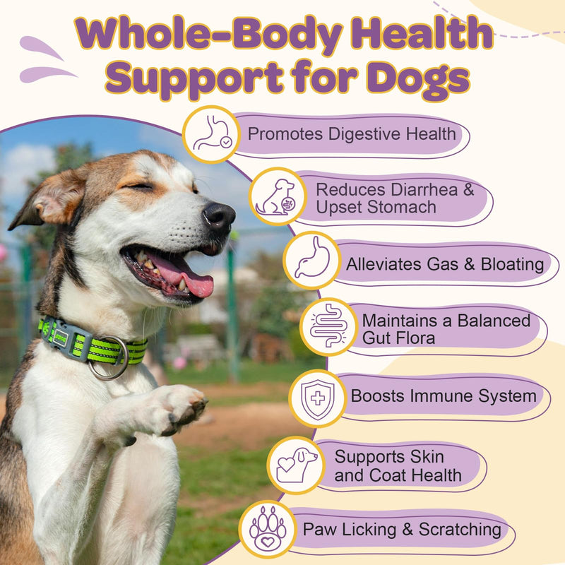 Probiotics for Dogs – 6 Billion CFUs & 10 Strains with Prebiotics, Omega-3, Digestive Enzymes & Multivitamins, Dog Probiotics for Digestive Health, Immune Support, Skin & Coat, 120 Duck Flavor Chews