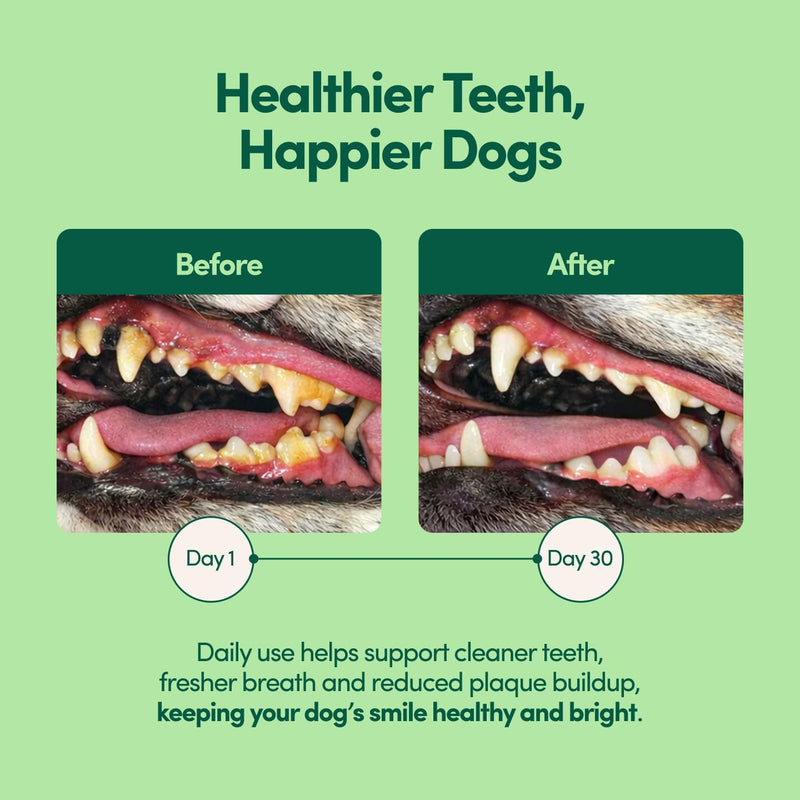 Fifth & Fido Breath Buddy Bacon Flavor Dog and Cat Dental Powder, with Brown Algae, Zeolite, Pomegranate, Cranberry and Marshmallow Root, Fresh Breath, Clean Teeth, Plaque and Tartar Removal, 5.3 oz