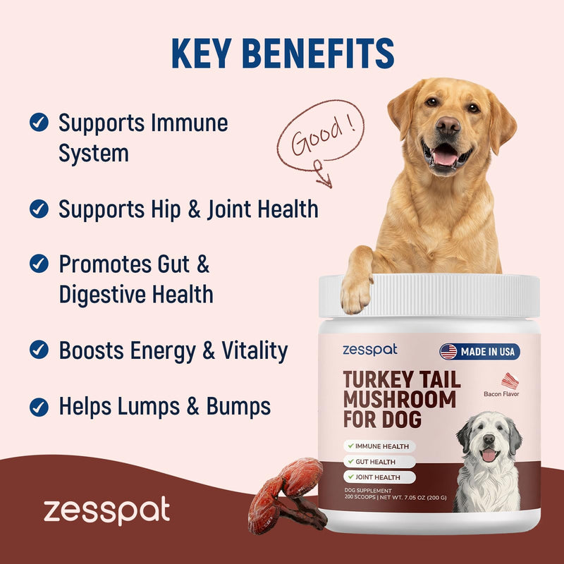 Turkey Tail Mushroom for Dogs - Premium Immune Support Supplement, Mushroom Supplement for Lumps & Bumps, Immunity, Gut, Skin & Joint Support, Natural Powder for Dogs - 200 Scoops, 7.05 oz