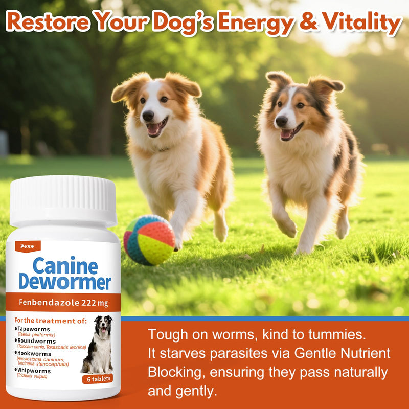 Canine Dewormer (Fenbendazole) for Roundworms, Hookworms, Tapeworms & Whipworms, 6 Chewable Tablets