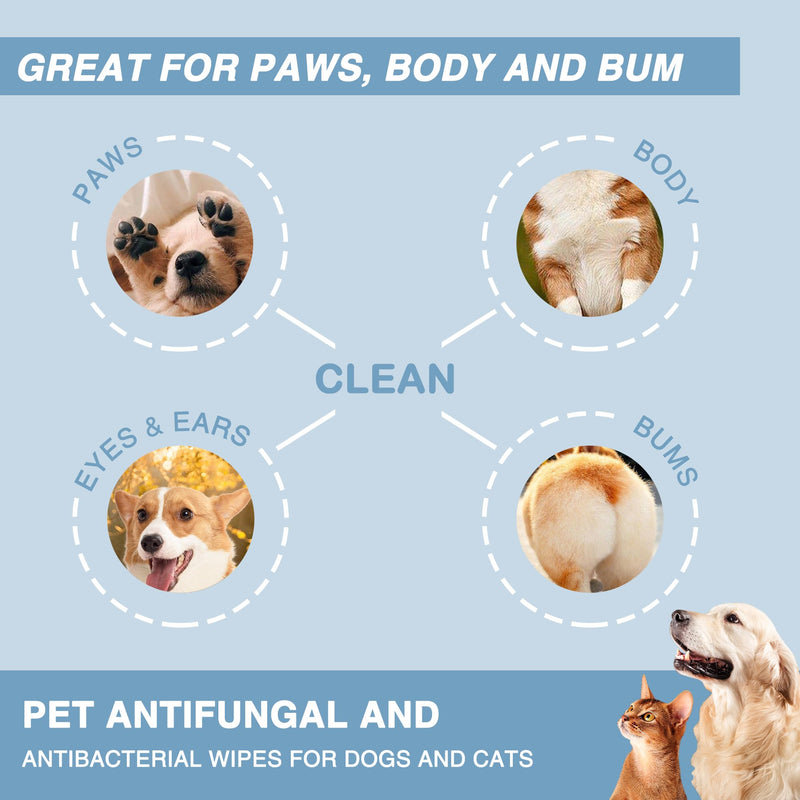 Antifungal and Antibacterial Wipes for Dogs & Cats, Dog Yeast Infection Treatment Wipes, All Natural Grooming Wipes for Cleaning, Help with Hot Spots, Ringworm, and Skin Infections, 80 Count - PawsPlanet Australia