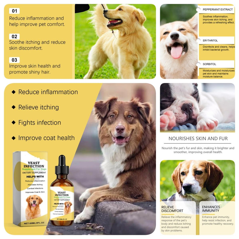 Natural Yeast Infection Treatment for Dogs, Dog Itchy Skin Relief & Ear Infection Treatment Inflammation Relief, Dog Antibiotics for All Breeds and Size, Vet-Formulated Herbal 60ml