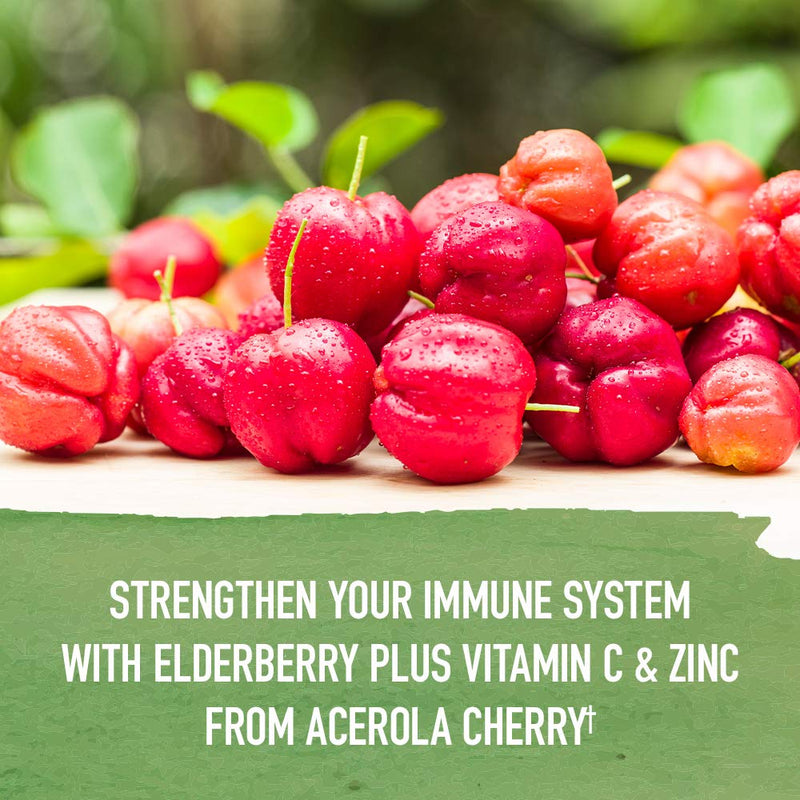 Garden of Life Organics Cough & Mucus Immune Syrup, Elderberry Zinc Immune Support Cough Syrup for Adults & Kids 12+, Offers Vitamin C & Echinacea, Sugar-Free, 5 Fl oz