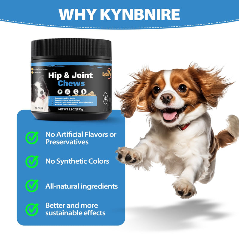Dog Hip and Joint Soft Chews, Dogs Joint Health Supplement with Glucosamine, Turmeric and MSM, Joint Support for Dogs Natural Chicken Flavor -100ct