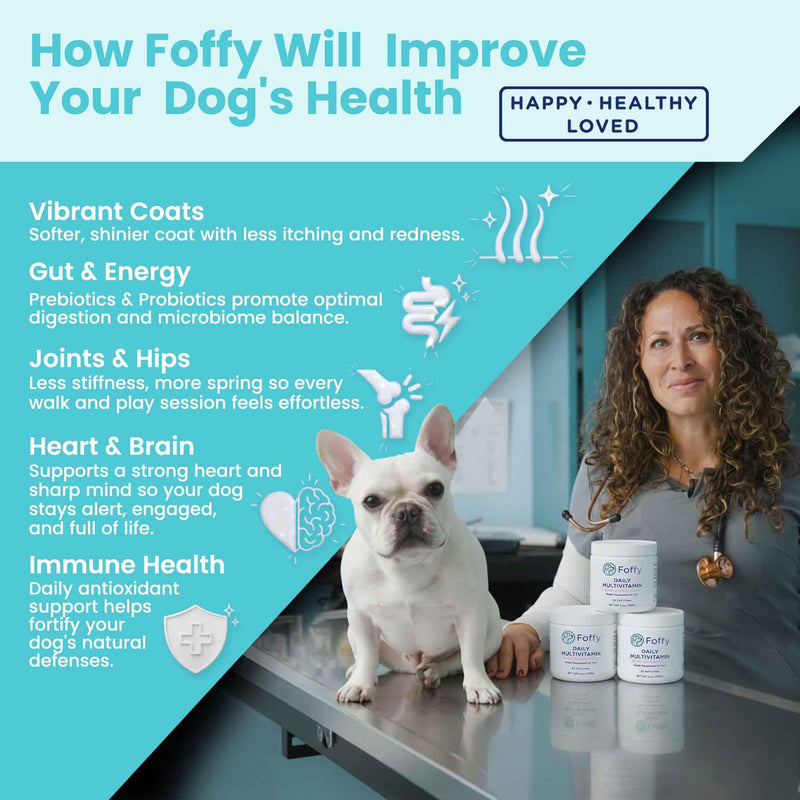 Foffy Daily Hip & Joint Multivitamin Soft Chew for Dogs with Superfoods, Probiotics, Plant-Based Omegas, kollaGen II-xs - Calms Skin, Reduces Inflammation, Improves Mobility & Promotes Longevity