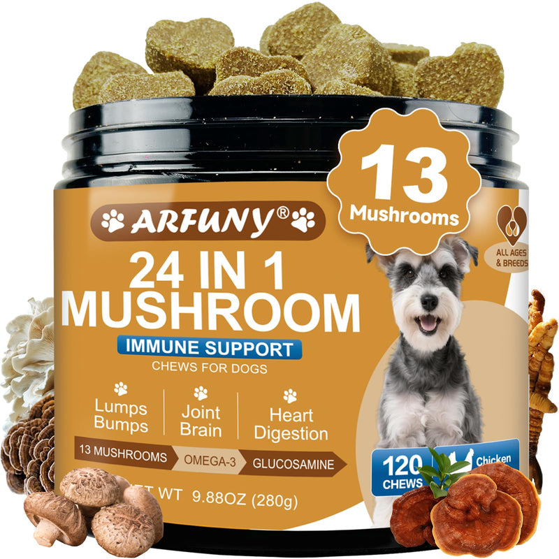 Mushrooms for Dogs - Turkey Tail Mushroom for Dogs - Gut, Skin, Joint, Immune Health- Dog Lumps & Bumps - 13 Organic Mushrooms Turkey Tail, Reishi, Lions Mane, Glucosamine, MSM - Chicken Flavor 1 Pack