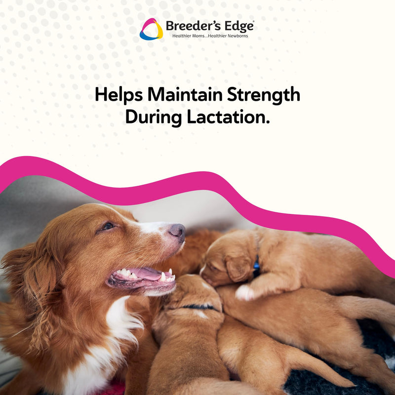 Breeder's Edge Oral Cal Plus Powder for Dogs & Cats, Lactation Support 300g | Calcium, Magnesium, Vitamin D3 & Goat Milk Support Lactation, Bone, Teeth & Muscle Health for Nursing Dogs & Cats Postnatal 300 g - Powder