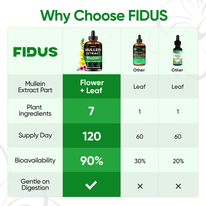 Fidus Mullein Drops for Lungs & Lymphatic Drainage ‚Äì 7 Herb with Echinacea, Oregano, Ginger, Elderberry, Marshmallow Root & Thyme‚Äì Lung Detox for Smokers‚Äì Respiratory & Immune Support, 4 fl oz 4 Fl Oz (Pack of 1)