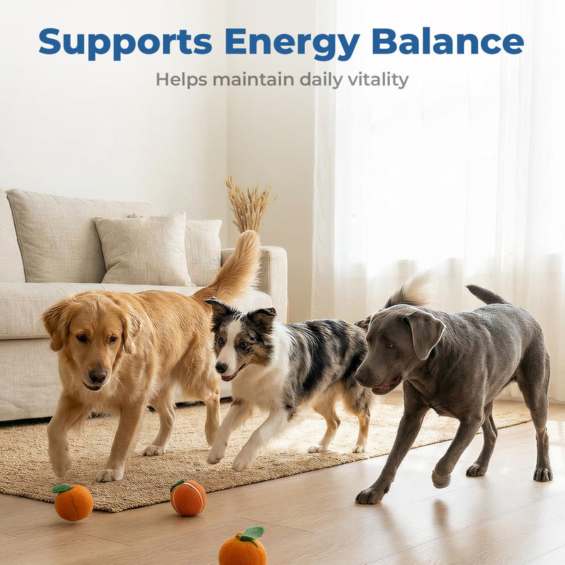 Taurine Supplement for Dogs Drops, Daily Amino Acid Liquid Drops for Heart Function, Muscle Support, Energy Balance & Physical Stability, 60 ml 60 ml (Pack of 1)