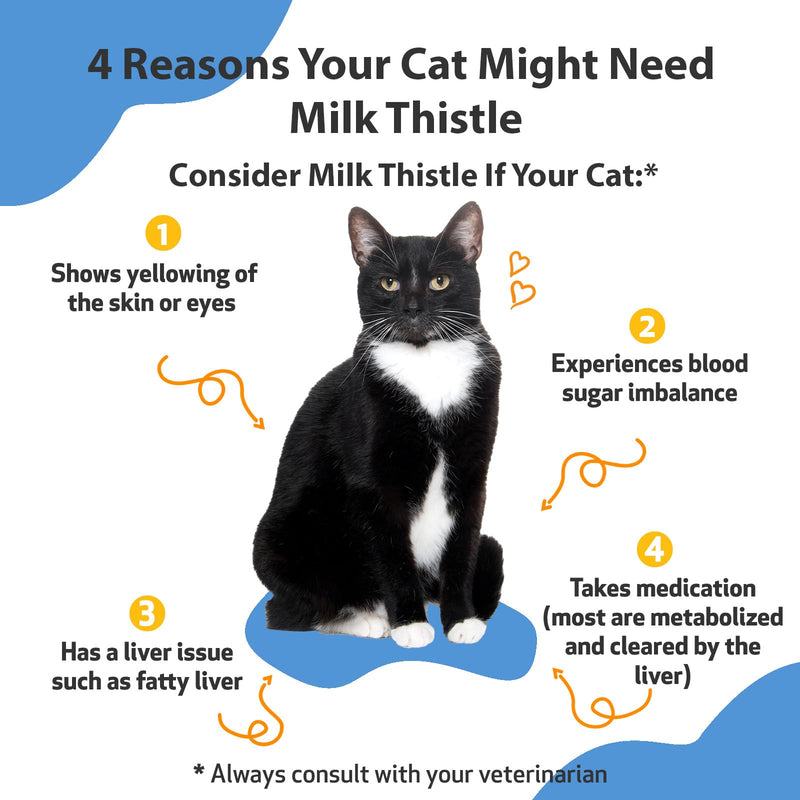Pet Wellbeing Milk Thistle for Cats - Supports Liver Health, Healthy Detoxification, Antioxidant Support, Liver Cell Support, Silymarins - Veterinarian-Formulated Herbal Supplement (2 fl oz (59 ml) 2 Fl Oz (Pack of 1) - BeesActive Australia