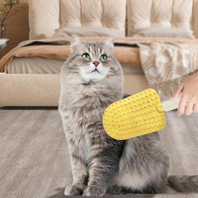 Cat Tongue Comb, 2024 New Cat Tongue Brush, Cat Grooming Brush for Indoor, Cats Shedding Cat Brush for Long Haired Cats, Easily Removes Fur for Cat or Dog (Blue) Blue - BeesActive Australia