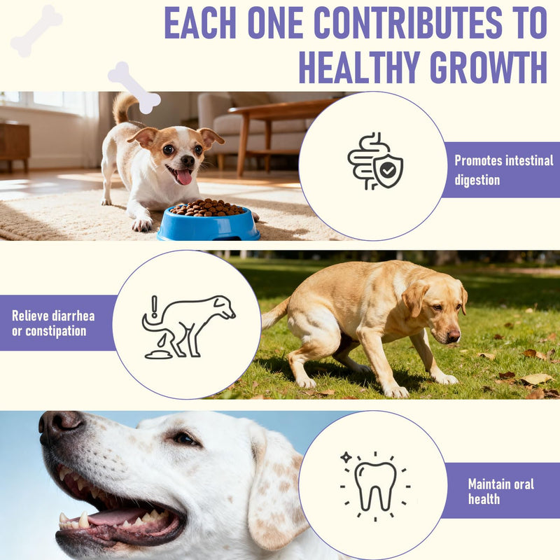 Dog Probiotics Probiotics for Dogs - Digestive Enzymes for Gut Flora, Digestive Health, Diarrhea & Bowel Support - Dog Supplement Soft Chew for Pet Immune System -（40ct ） (4.24 OZ) 4.24 OZ