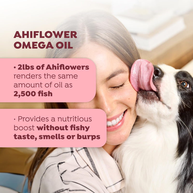 WagWell Allergy and Itch Chews – Chicken Flavored Dog Allergy Chews – Plant Based Dog Chews with Colostrum and Spirulina – Dog Skin and Coat Supplement for Itch Relief and Digestive Health, 60 Chews - PawsPlanet Australia