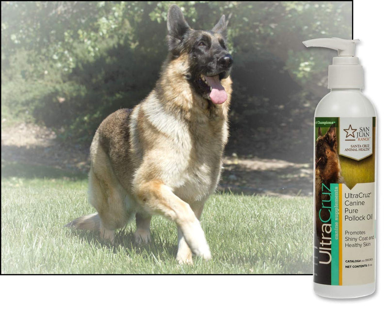 UltraCruz - sc-395363 Canine Pure Pollock Oil Supplement for Dogs, 8 oz - PawsPlanet Australia
