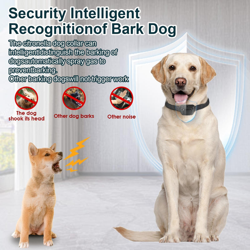 Citronella Dog Bark Collar for Dogs, [No Spray Refill] Citronella Dog Collar, Level 3 Sensitivity Adjustable Spray Bark Collar, Safer Anti Bark Collar Suitability for L/M/S Dog Citronella Collar Black-pp1 - BeesActive Australia