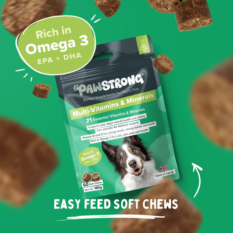 Multi-Vitamins & Minerals Soft Chew Dog Supplements – 21 Essential Nutrients for Daily Health, Energy, Joints, Skin & Coat with Omega 3 EPA & DHA – 60 Soft Chews 60 Chews