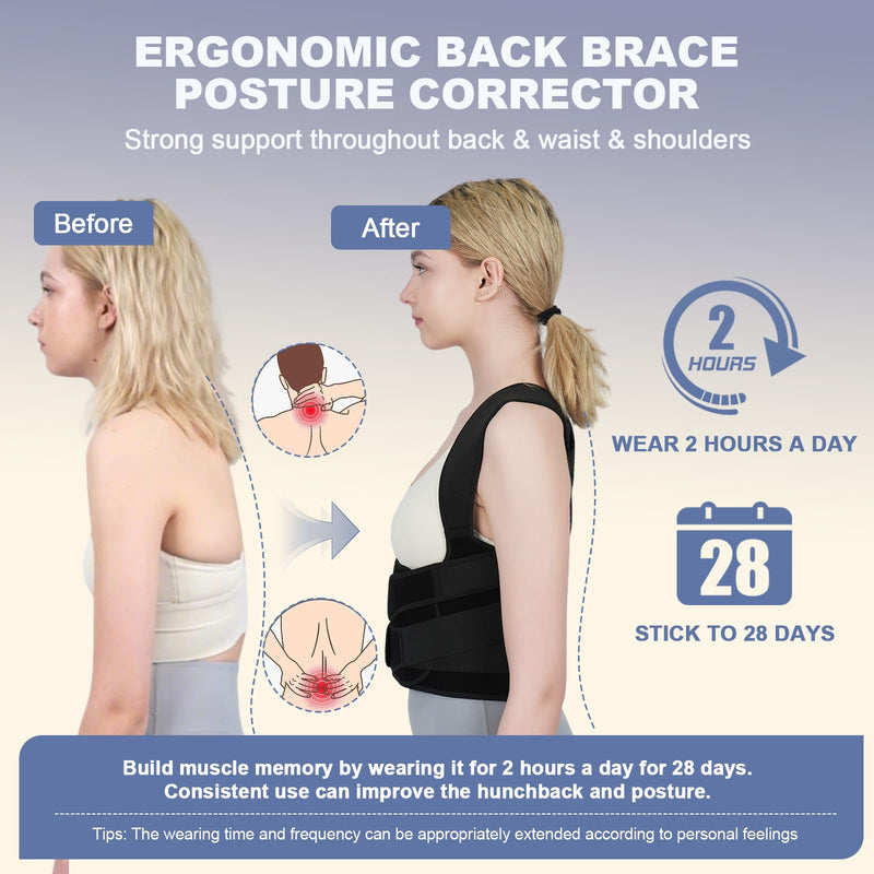 Posture Corrector for Women and Men Upgraded Back Brace, Adjustable Back Support for Upper and Lower Back Pain Relief, Shoulder Straightener for Hunchback, Scoliosis, Lumbar, Spine (Black, Large) Black - BeesActive Australia