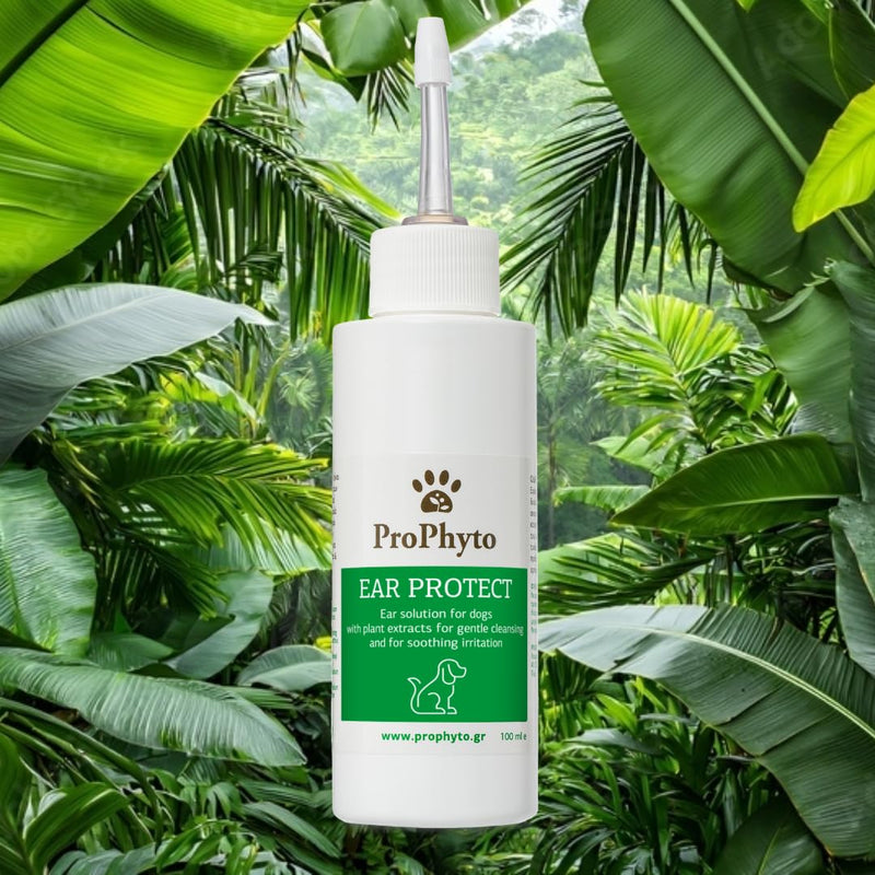 EAR PROTECT for Dogs | Nano-emulsion technology for efficacy and absorption | Powerful dog ear cleaner | Honeysuckle and Rhubarb for natural soothing |