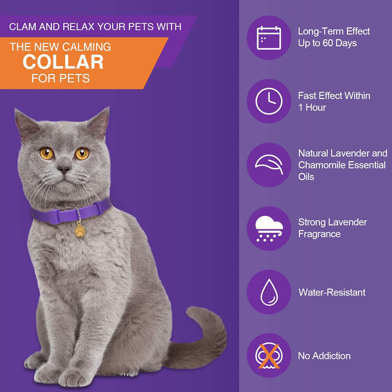 4 Pcs Calming Cats Collar Adjustable Cat Calm Collar Lavender Scent Relaxing Cat Collar with 2 Pendant for Puppies Cats Reduce Stress Aggression Anxious, up to 15 Inches (Purple, Gold) Purple, Gold - BeesActive Australia