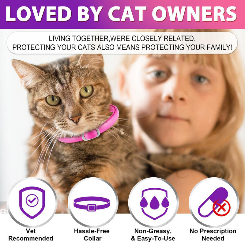 Flea collar for cats (4 pieces) - prevention of fleas and ticks for cats - flea collar - treatment of fleas - 24 months protection - BeesActive Australia