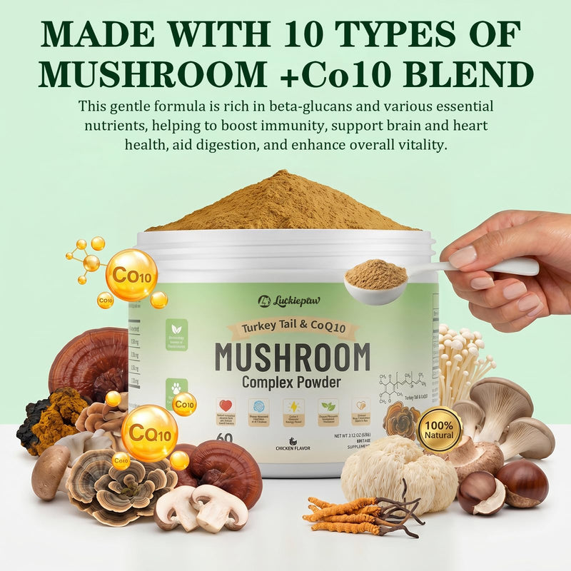 Organic Turkey Tail Mushroom Supplement for Senior Dogs & Cats – 10-in-1 Functional Mushroom Powder with CoQ10 for Immune Support, Digestive Health – Chicken Flavor, Scoop Included