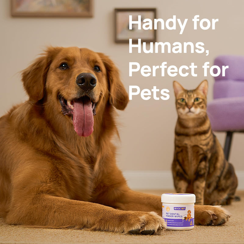 HICC PET Dog Dental Wipes, Dog Teeth Cleaning Finger Wipes, Freshens Breath, Soothes Gums, Reduces Plaque, Coconut Oil, 50 Disposable Wipes