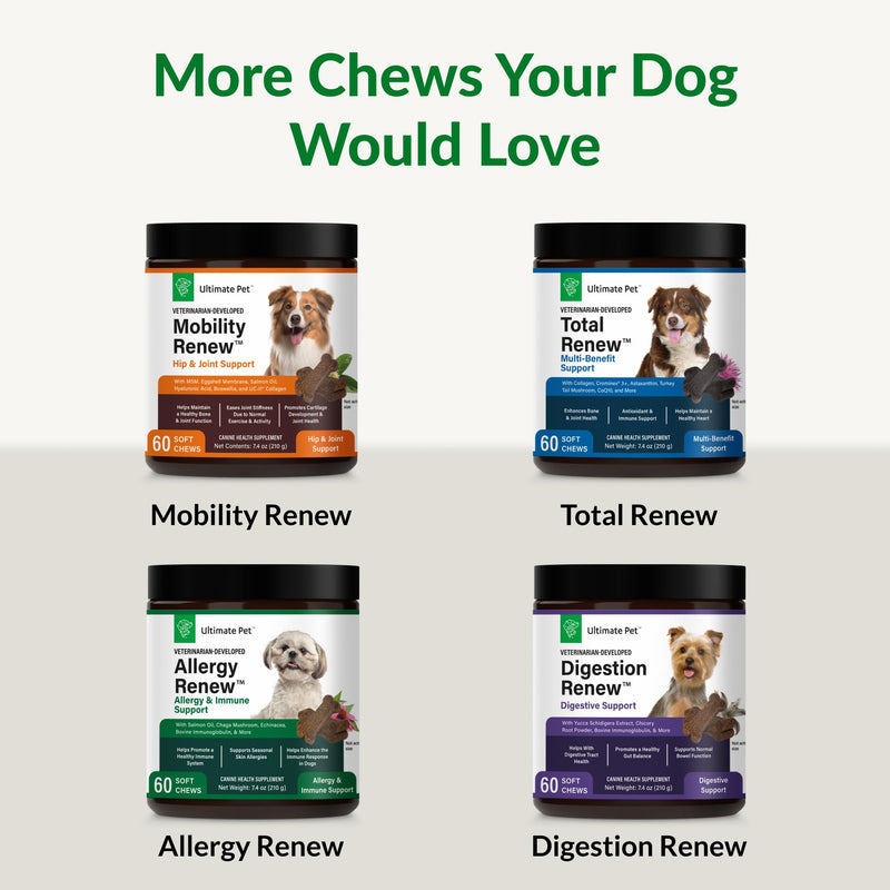 Ultimate Pet Nutrition Digestion Renew Soft Chew Gut Health Support for Dogs, Helps with Digestion & Occasional Gas, 60 Count