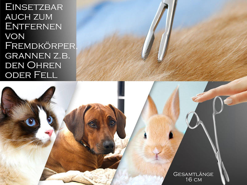InstrumentNrw Plucking Tongs for Dog Ears Hair Tongs Dog Hair Plucking Tongs Animal Hair Remover Stainless Steel Rustproof with Internal Serrations without Lock in Professional Quality (16 cm) 16 cm - BeesActive Australia