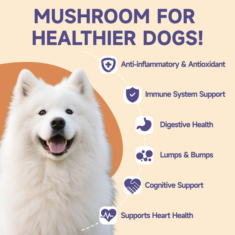 Mushroom for Dogs - with Turkey Tail Mushroom for Dogs, Lion’s Mane, Shiitake, Supports Joint & Gut Health, Enhances Energy, Lumps & Bumps Supplement,Organic Mushrooms Supplement for Dog, 60ml Drop